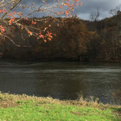 Cedar Creek in Cedar Creek Park