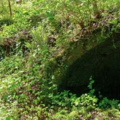 Entrance to Connellsville Coke Ovens