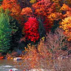 Ferncliff Peninsula in autumn