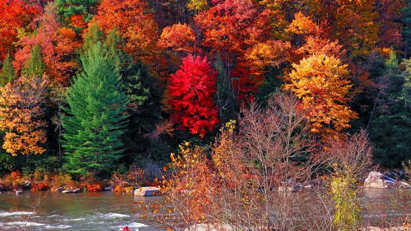 Ferncliff Peninsula in autumn