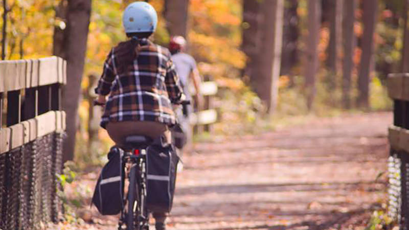 Golden Triangle Bike Rentals Tours and Shuttles