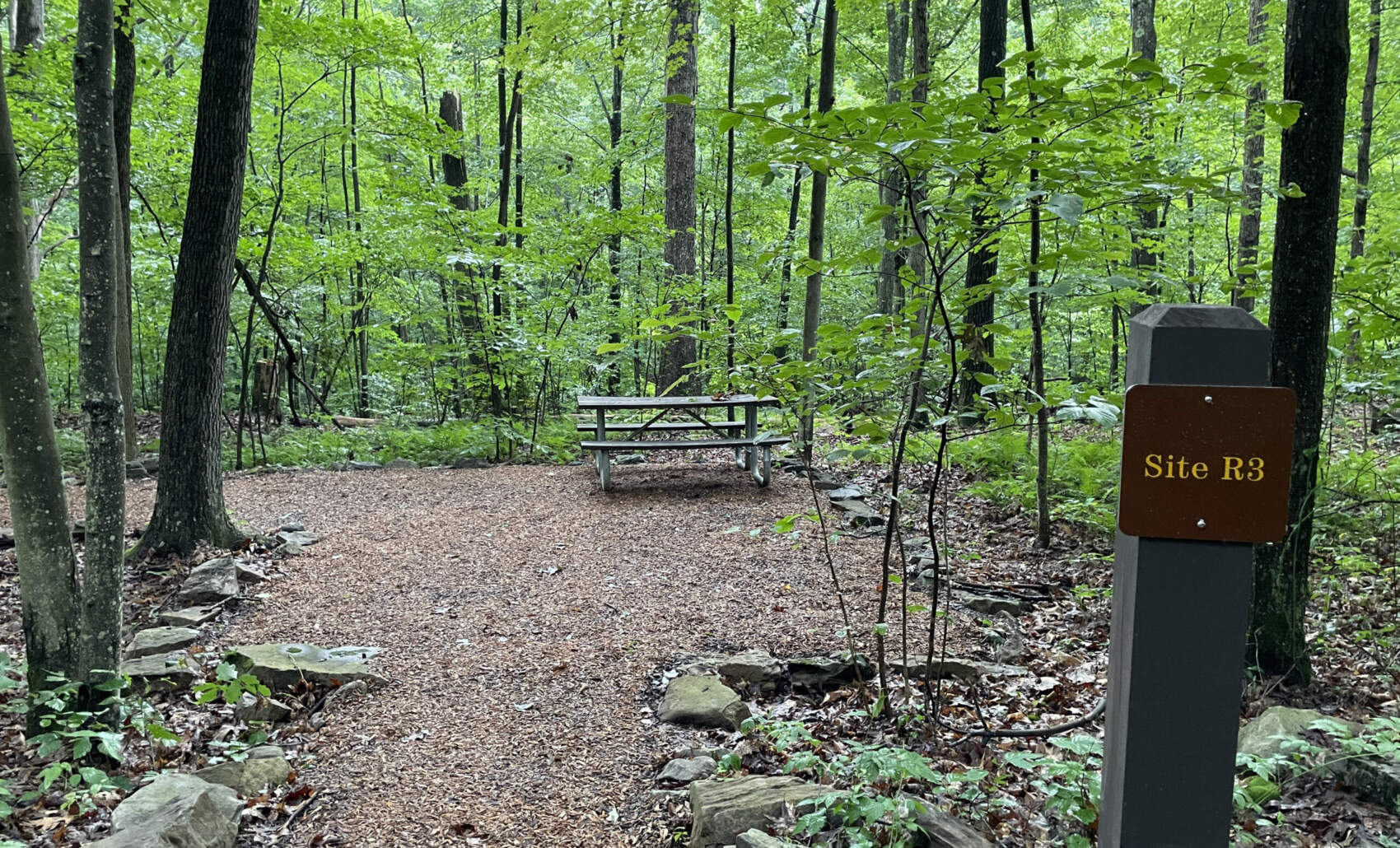 High Bridge Biking Campsites Ohipyle