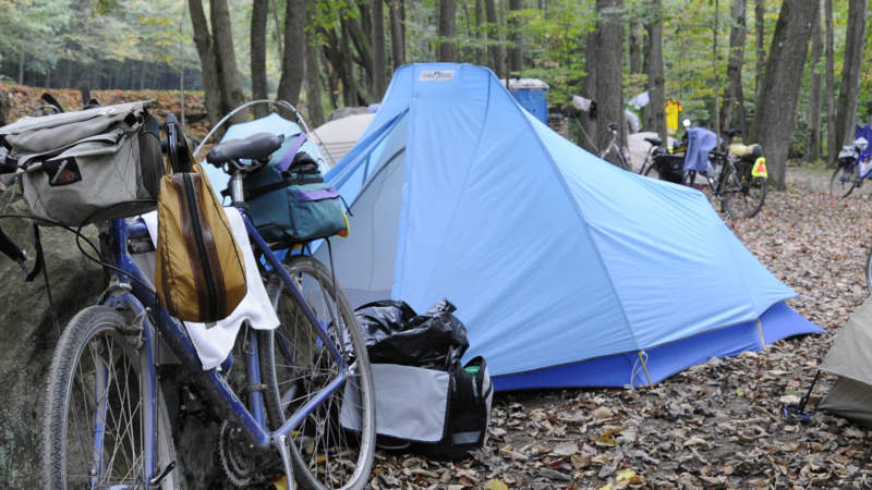 Tents in Husky Haven Campground