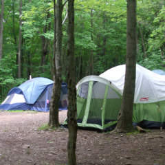 Tents at Kentuck Knob Campground