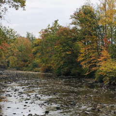 Laurel Hill Creek