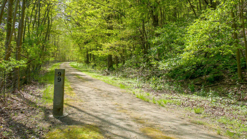 Trail with milepost 99 and trees