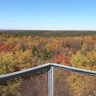 Mt Davis Overlook