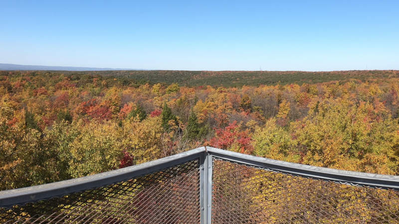 Mt Davis Overlook