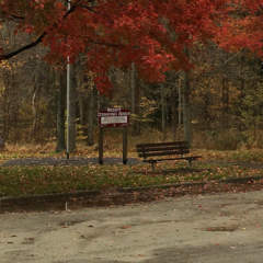 Parking at Cedar Creek Park in the autumn