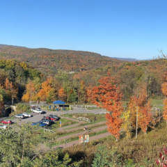 Parking Frostburg