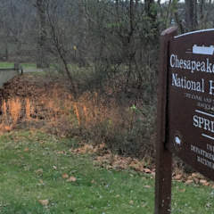 Sign for Spring Gap in front of bridge