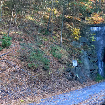 Brush Tunnel in autumn