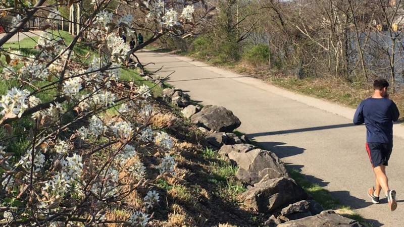 Runners on trail in the South Side with flowers blooming